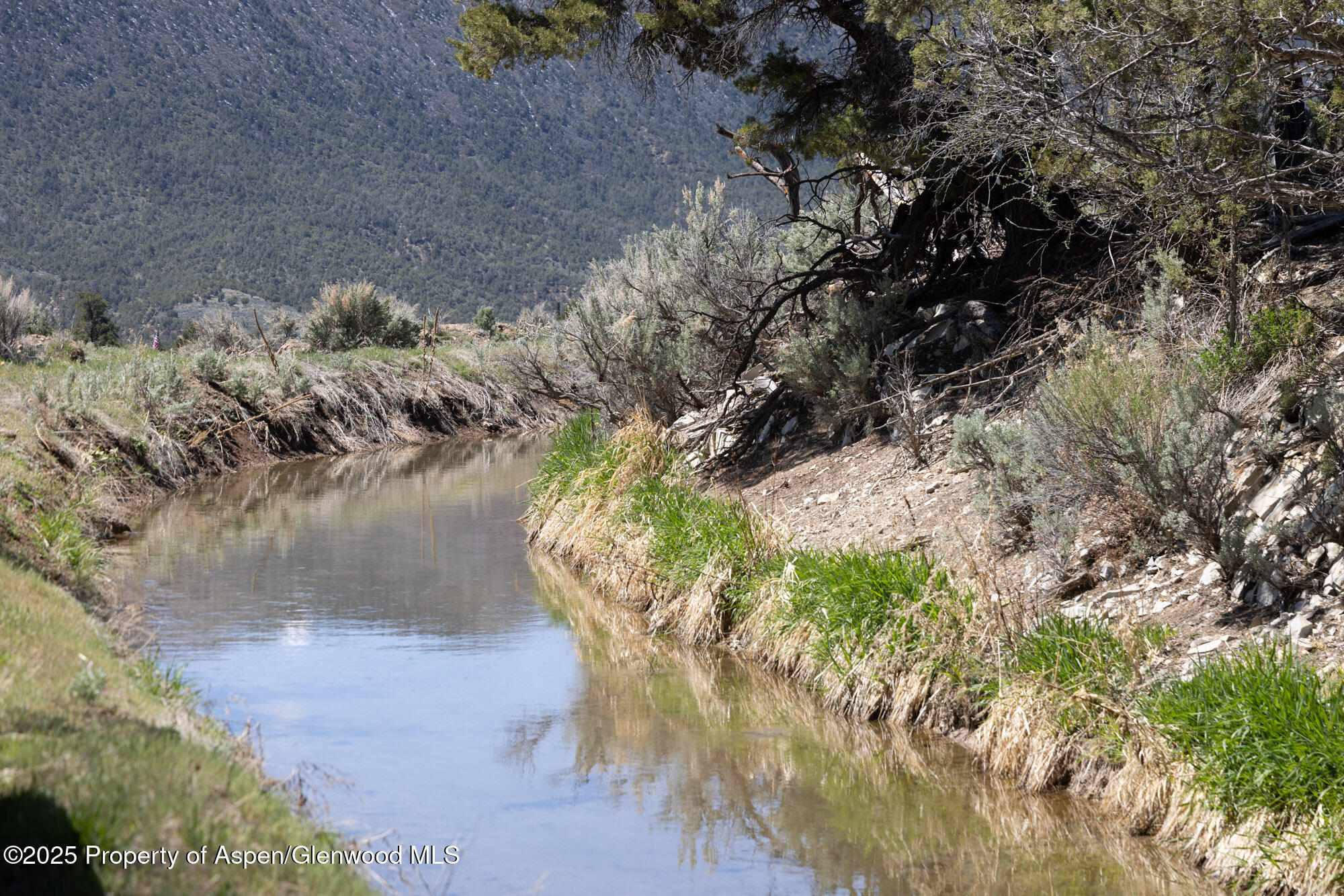 Tbd Grass Valley Road Rifle, CO 81650 - Photo 3 of 24 a view of a lake with a tree