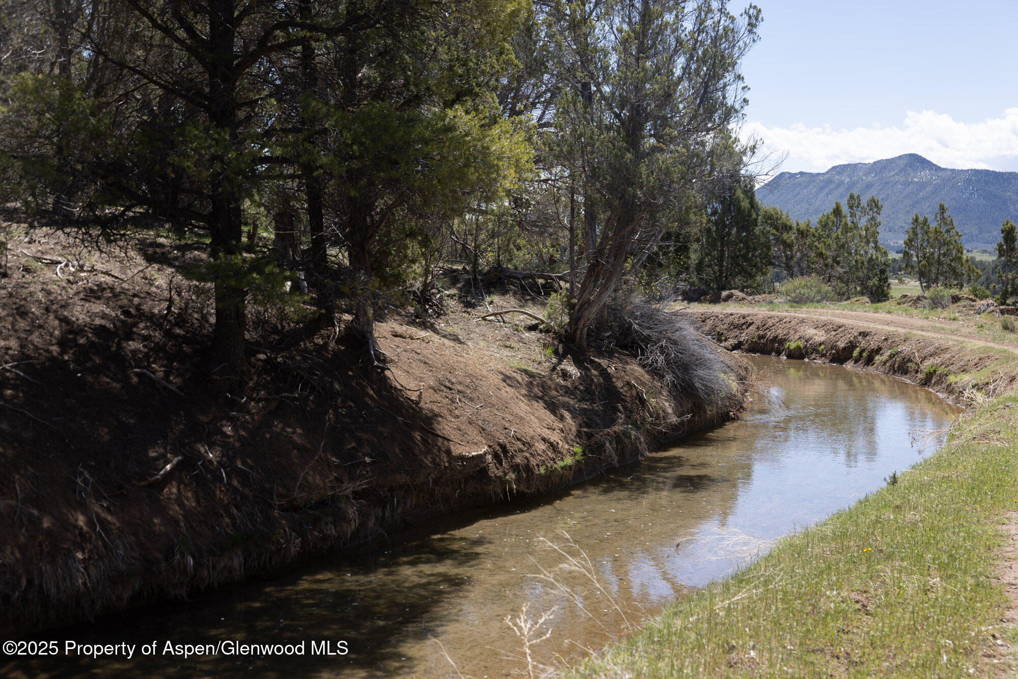 Tbd Grass Valley Road Rifle, CO 81650 - Photo 5 of 24 a view of a lake in between two of trees