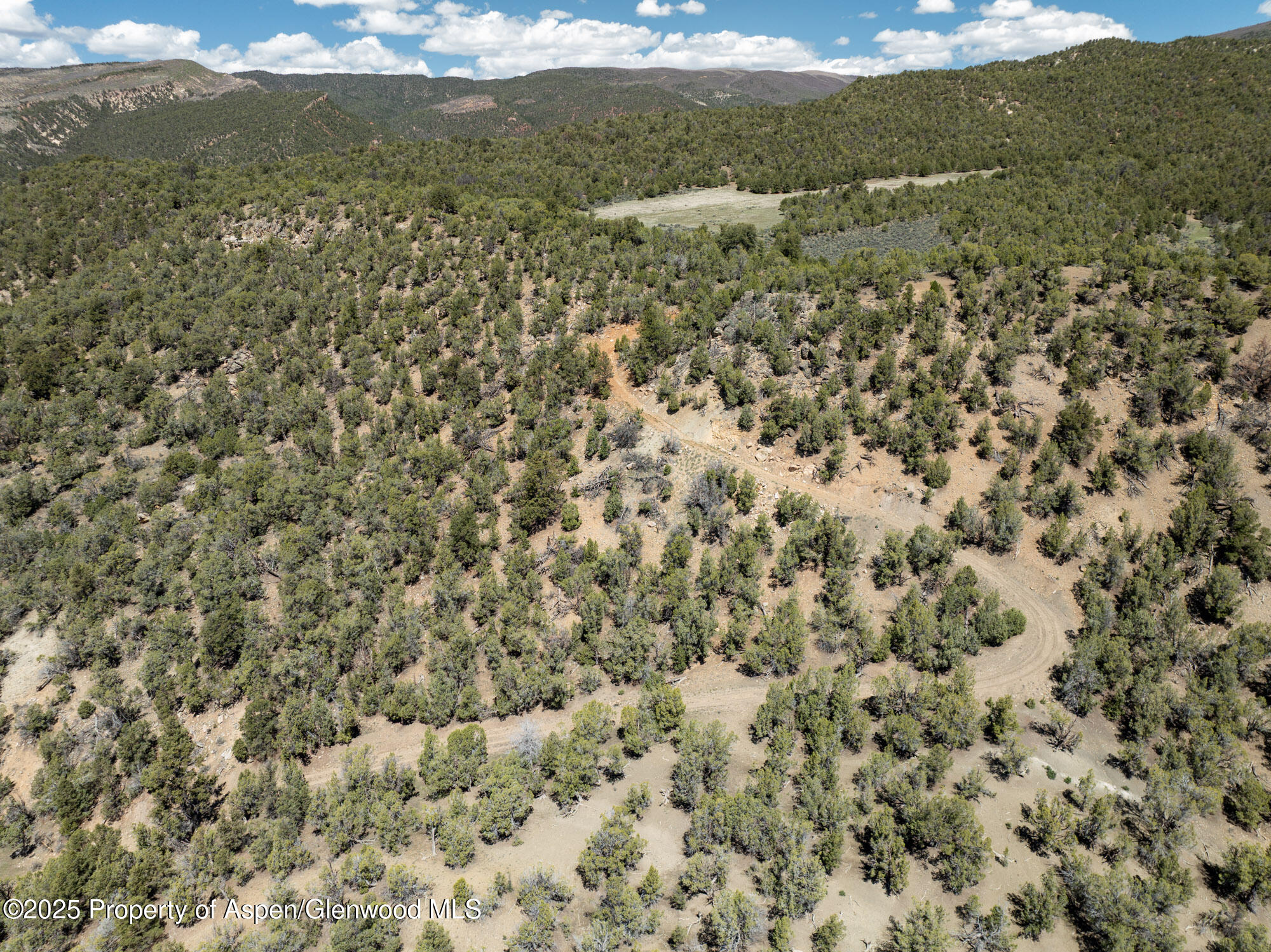 Tbd Grass Valley Road Rifle, CO 81650 - Photo 10 of 24 a view of a field with mountains in background