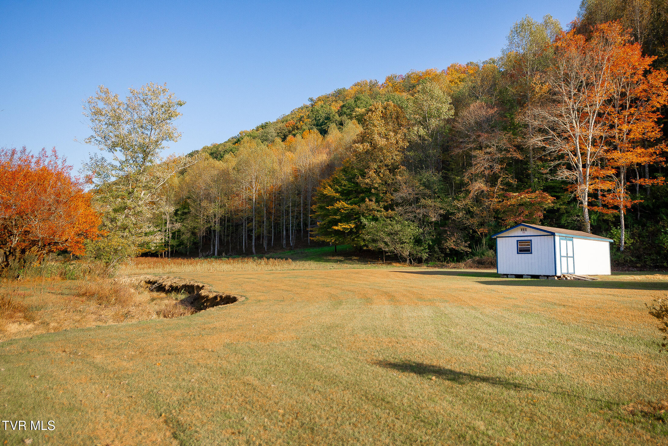 11427 Yuma Road Gate City, VA 24251 - Photo 55 of 82 Large back yard