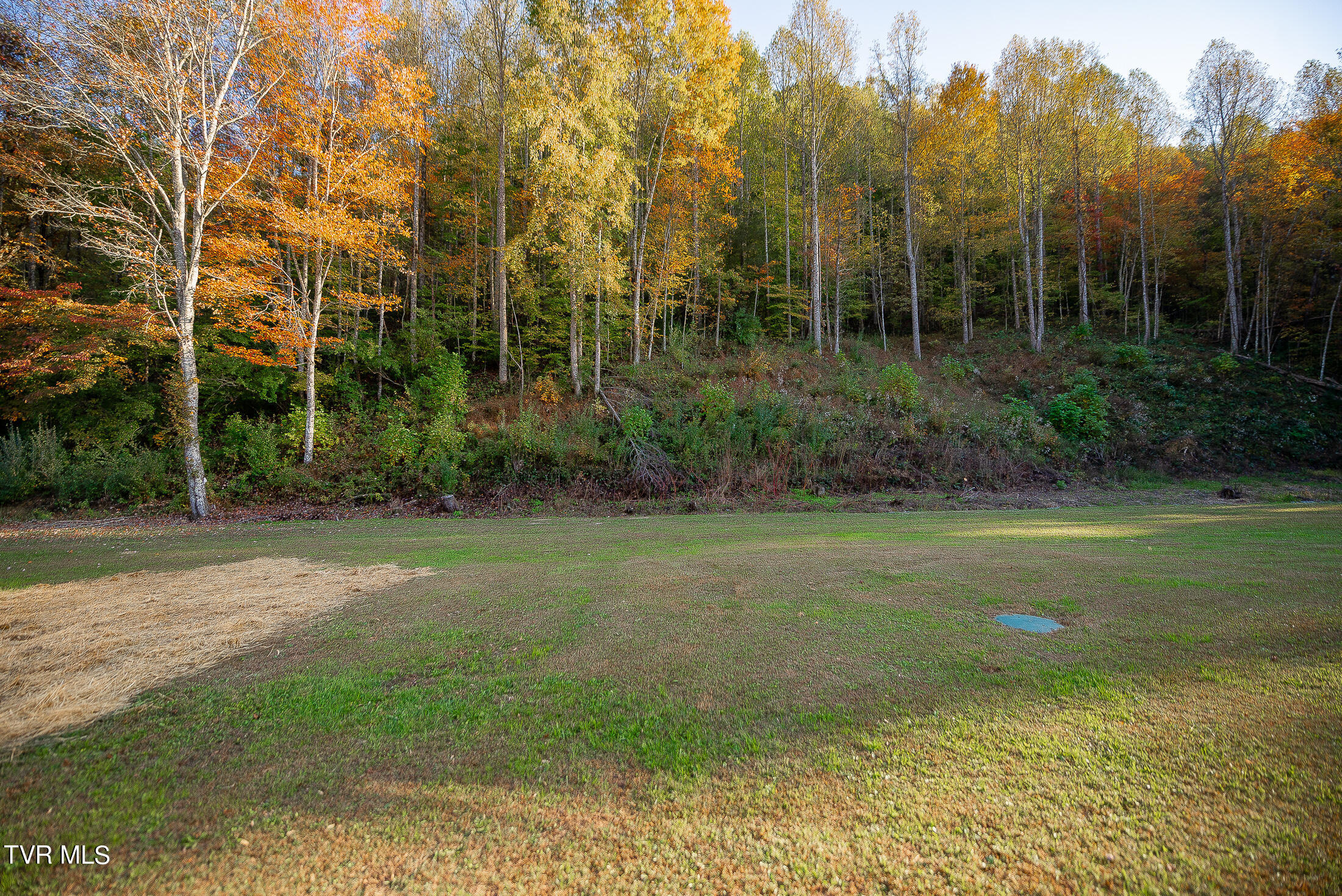 11427 Yuma Road Gate City, VA 24251 - Photo 61 of 82 7.5 +/- acres