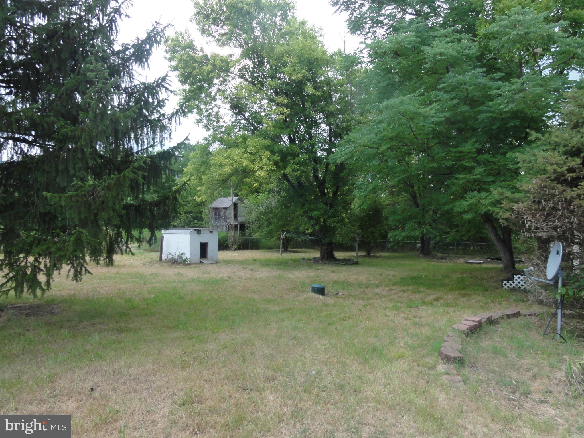 599 Bucks Mill Road Strasburg, VA 22657 - Photo 7 of 22 Exterior (Front)