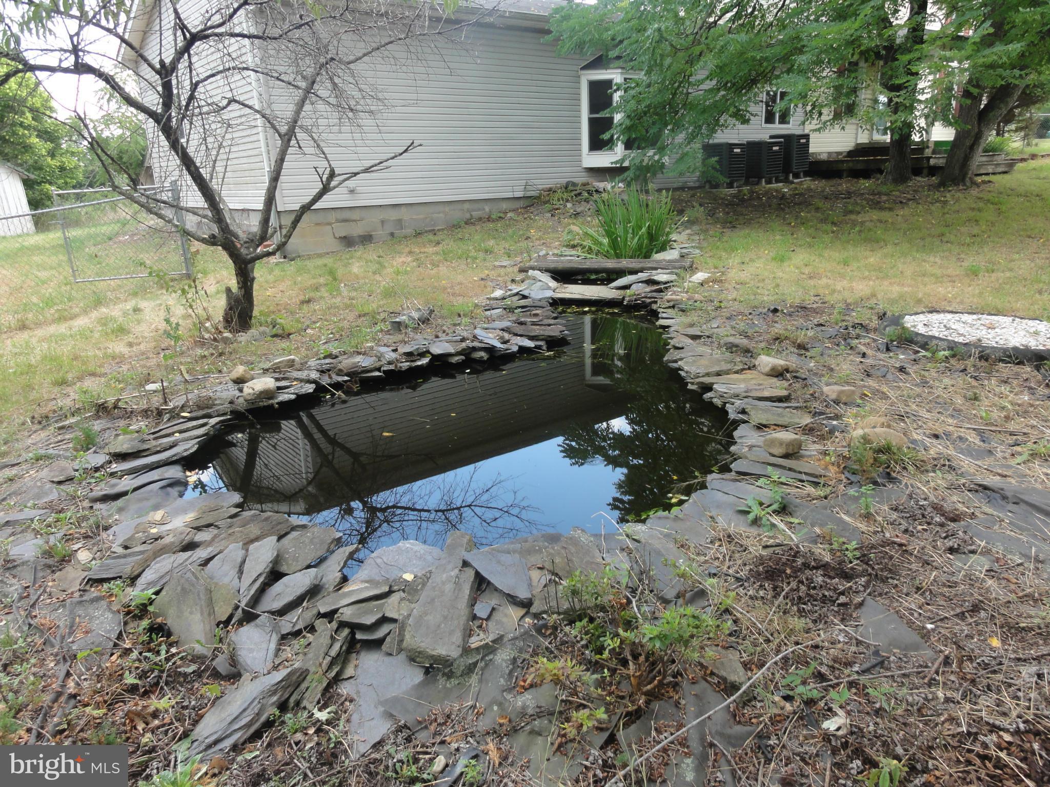599 Bucks Mill Road Strasburg, VA 22657 - Photo 8 of 22 Exterior (General)