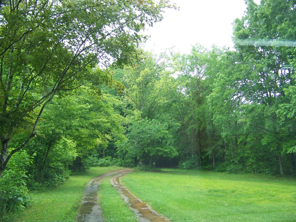 2387 New Bethel Road Meherrin, VA 23954 - Photo 35 of 52 Gallery Image 35