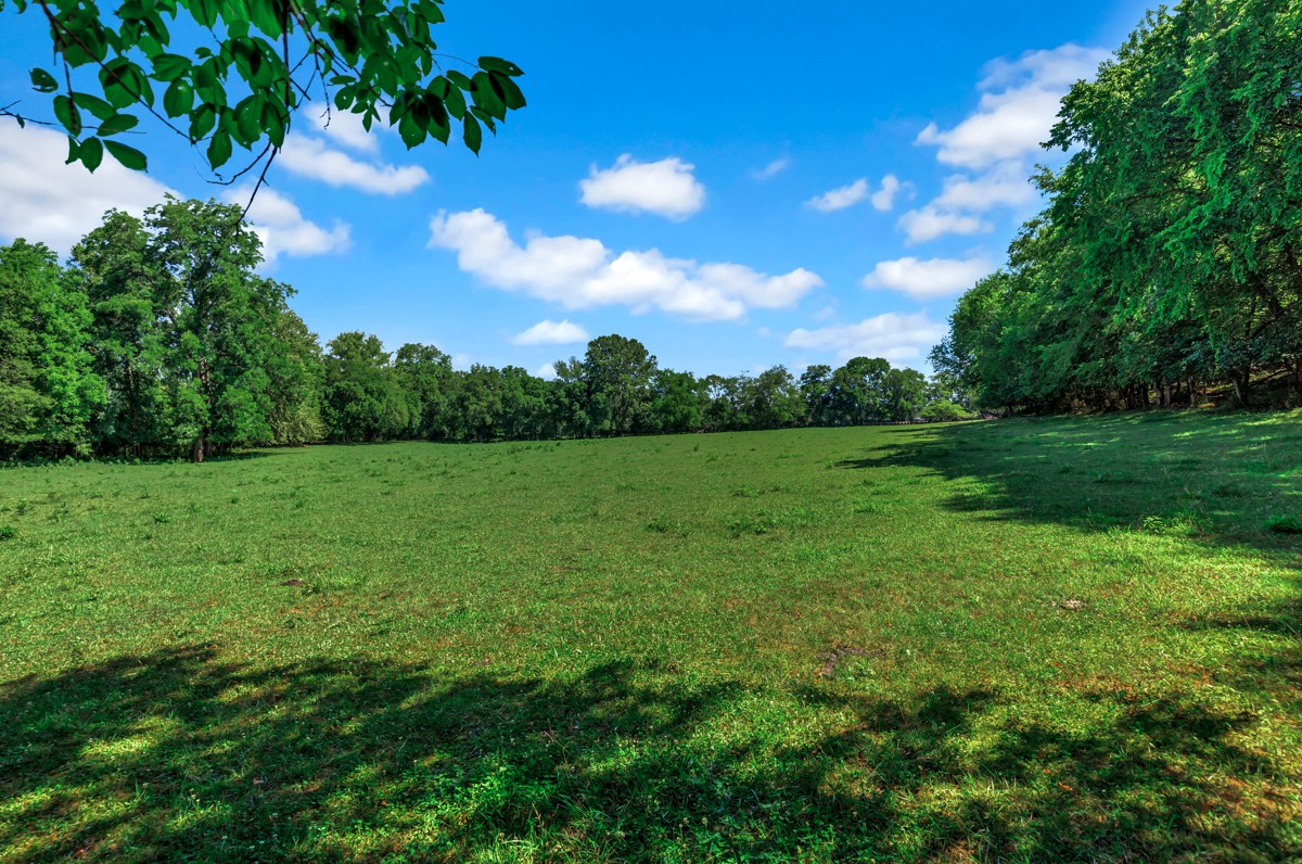 49 Crystal Ridge Road Mulberry, TN 37359 - Photo 38 of 58 a view of a garden with a tree