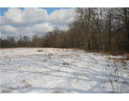5808 Gregory Road Dexter, MI 48130 - Photo 3 of 25 Photo 3