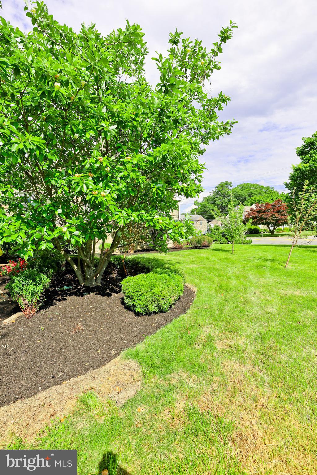 1 Ormond Avenue Havertown, PA 19083 - Photo 91 of 108 Lots of fruit trees