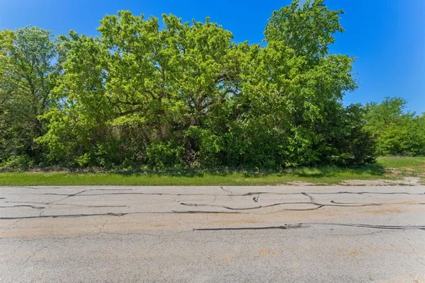 a view of a yard with plants and a small yard