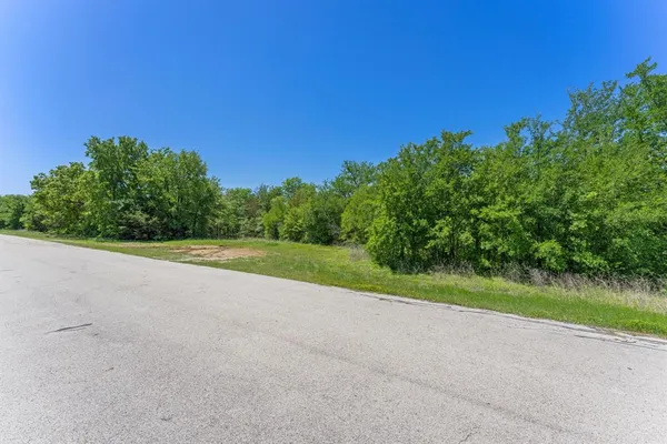 a view of a field with plants and trees in the background