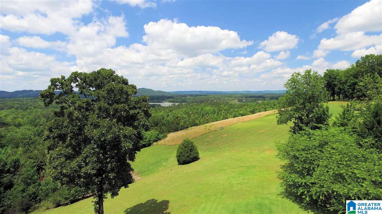 115 Hickory Ridge Drive Gadsden, AL 35905 - Photo 46 of 50
