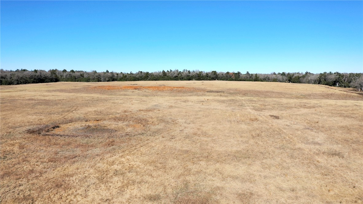 328 Tract 8 11 Acres Road Caldwell, TX 77836 - Photo 20 of 25