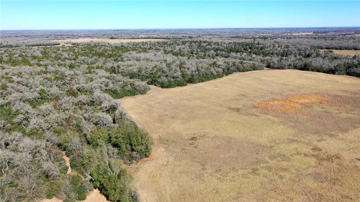 328 Tract 8 11 Acres Road Caldwell, TX 77836 - Photo 21 of 25
