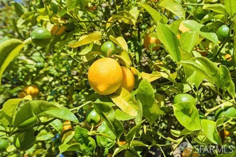 $1,295,000 | 131 Brussels Street, San Francisco, CA 94134