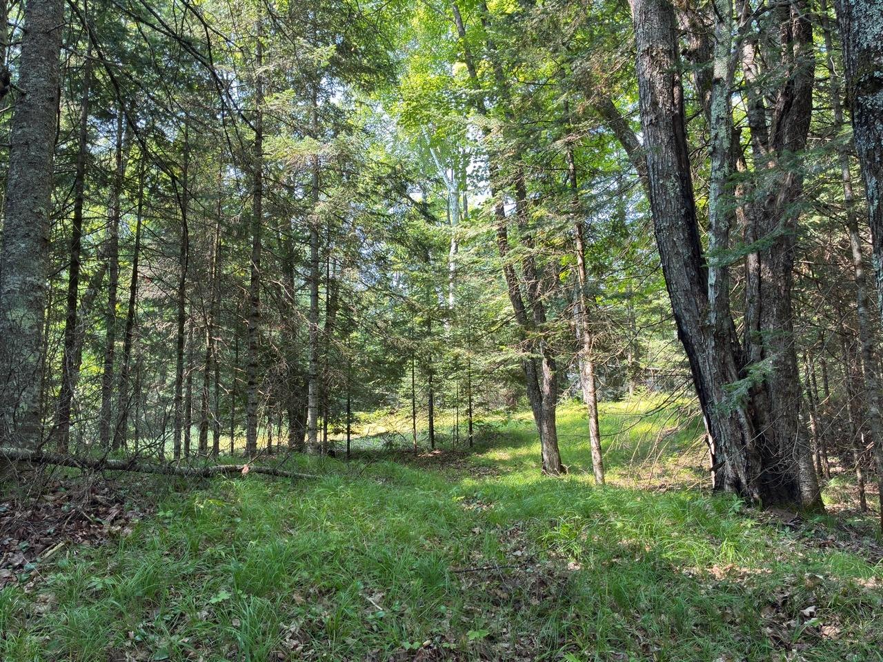 6064 Cramer Lake Road Mercer, WI 54547 - Photo 9 of 47 Gallery Image 9