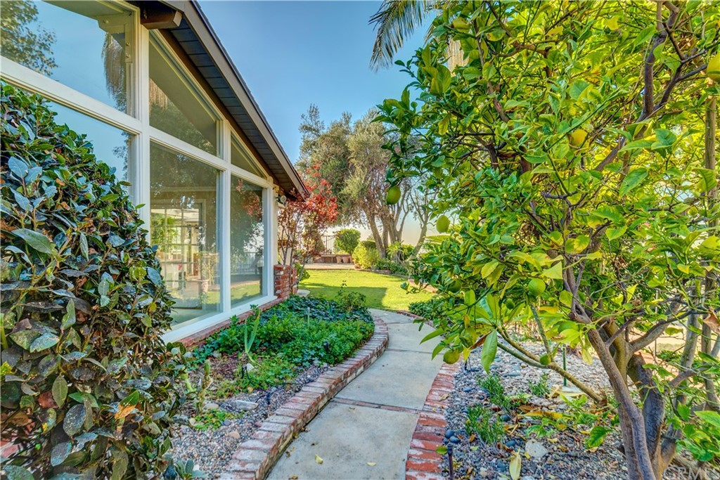 12513 Carinthia Drive Whittier, CA 90601 - Photo 31 of 35 a view of a garden with plants