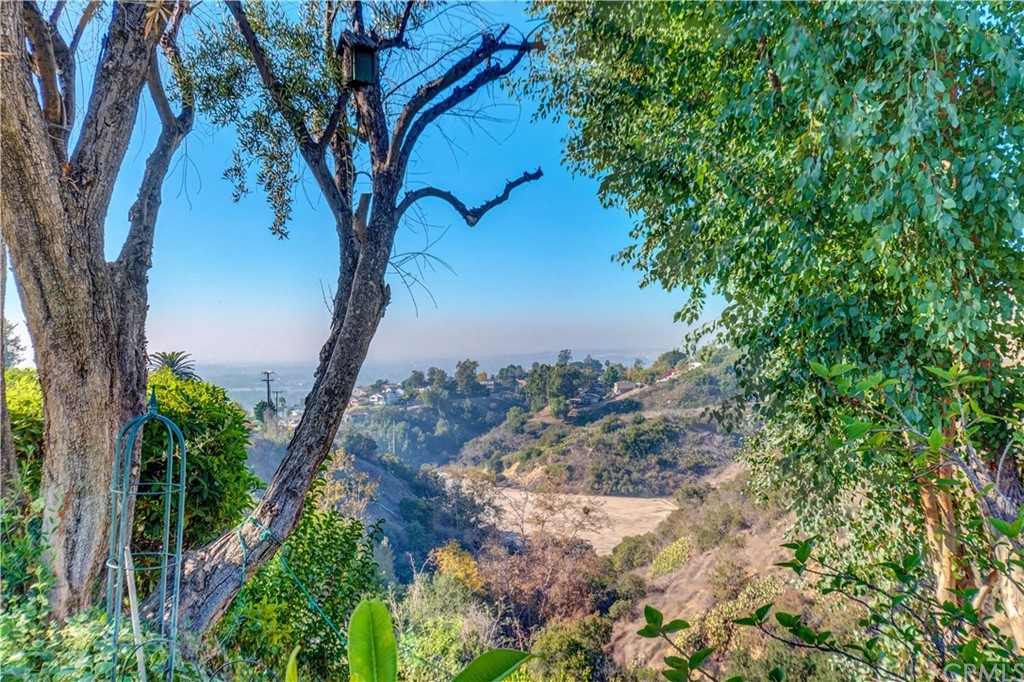 12513 Carinthia Drive Whittier, CA 90601 - Photo 33 of 35 a view of a tree in a yard