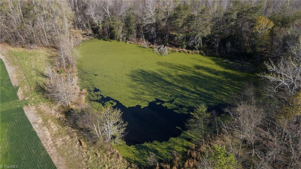 1337 Candy Creek Road Reidsville, NC 27320 - Photo 19 of 22 Gallery Image 19