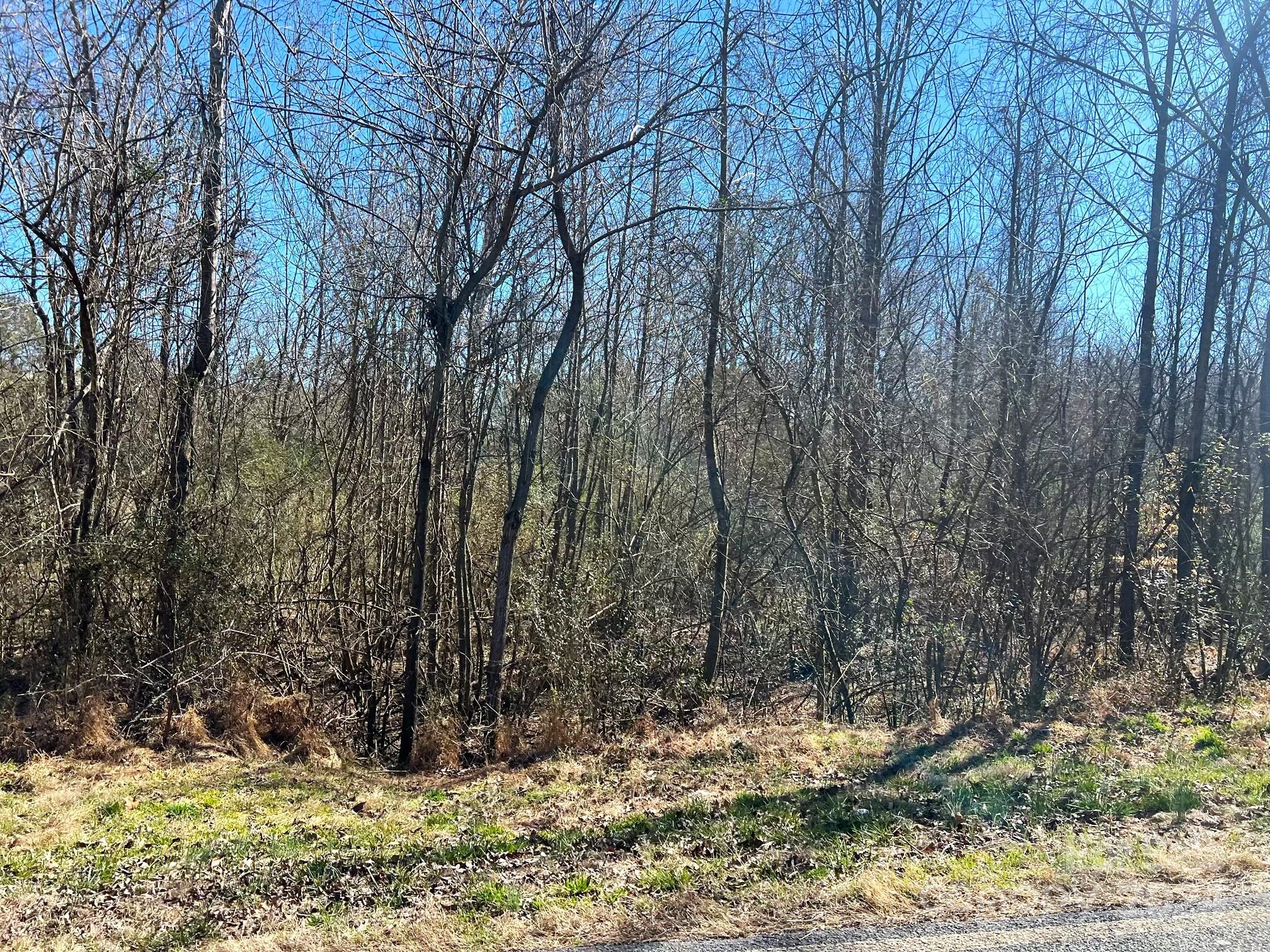 Vac Biles Road Albemarle, NC 28001 - Photo 11 of 23 Gallery Image 11
