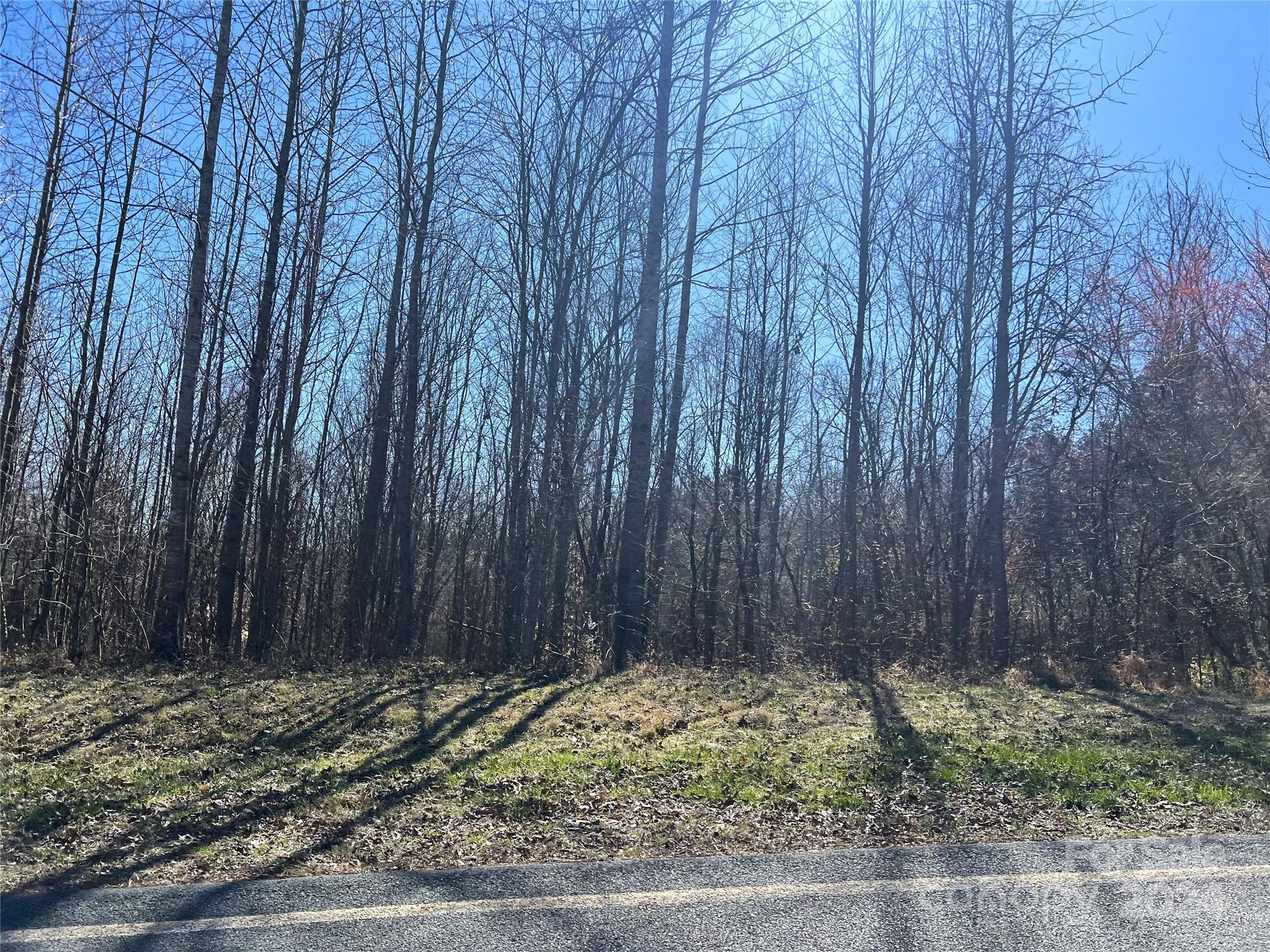 Vac Biles Road Albemarle, NC 28001 - Photo 12 of 23 Gallery Image 12