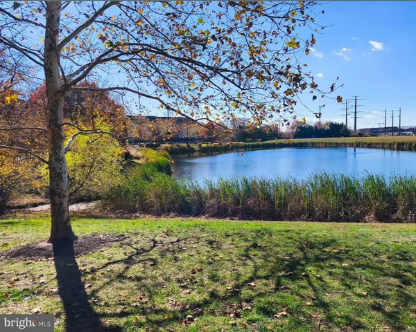 a view of a park with large trees