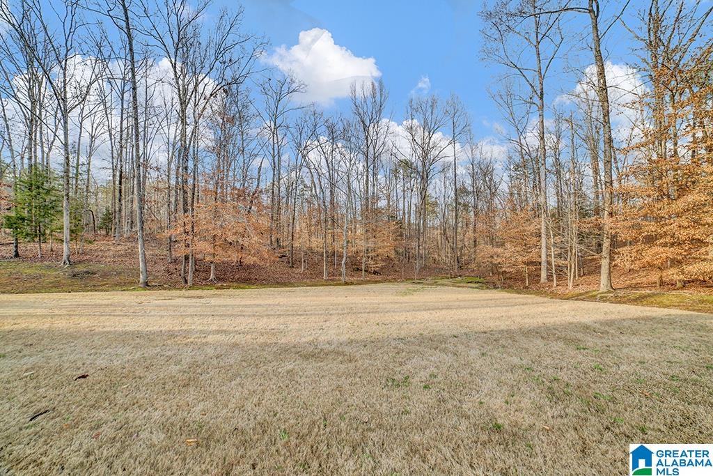 124 Highland Ridge Drive Chelsea, AL 35043 - Photo 27 of 30