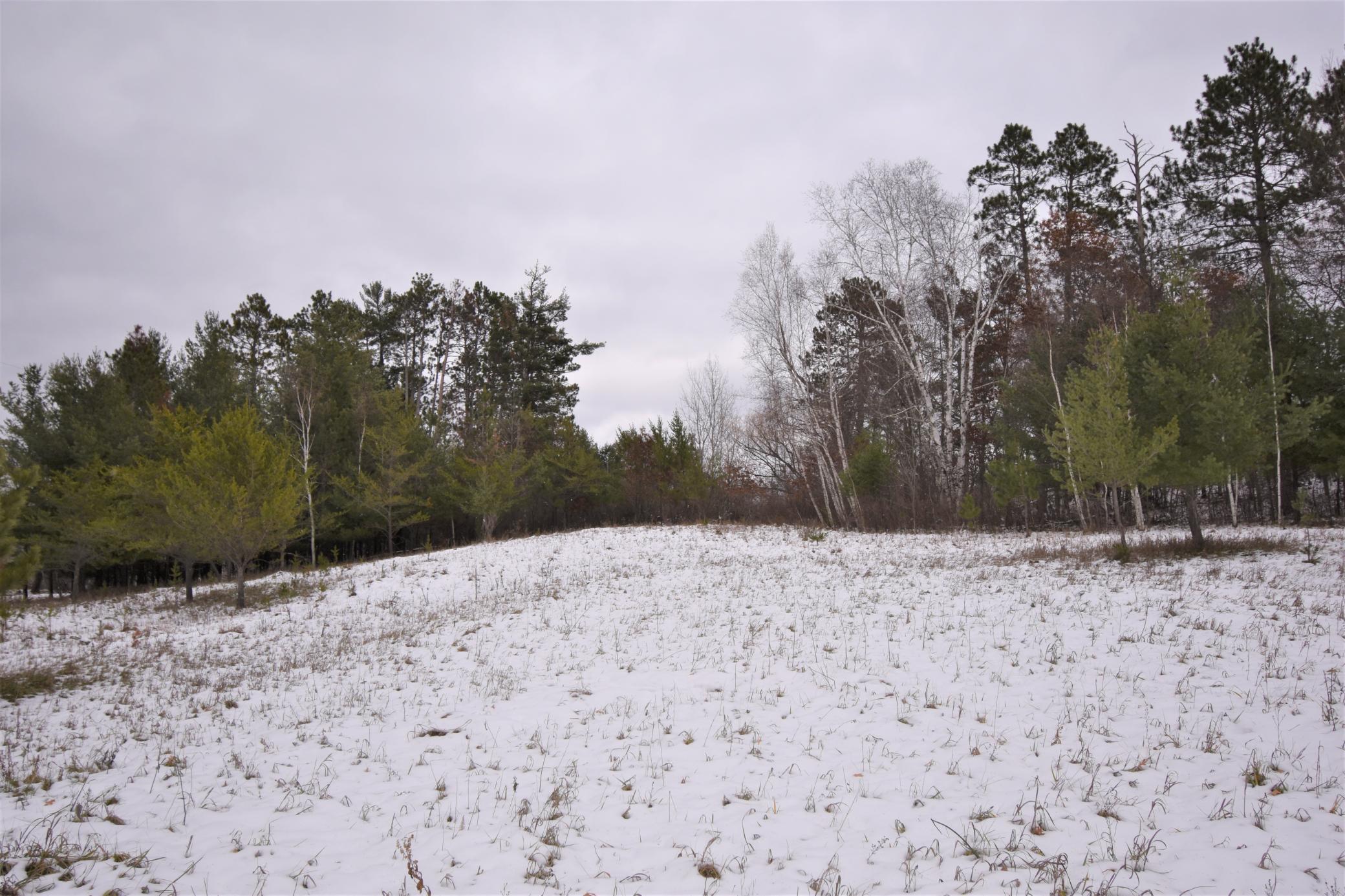 Tbd Buschmann Road Breezy Point, MN 56472 - Photo 1 of 7 Gallery Image 1