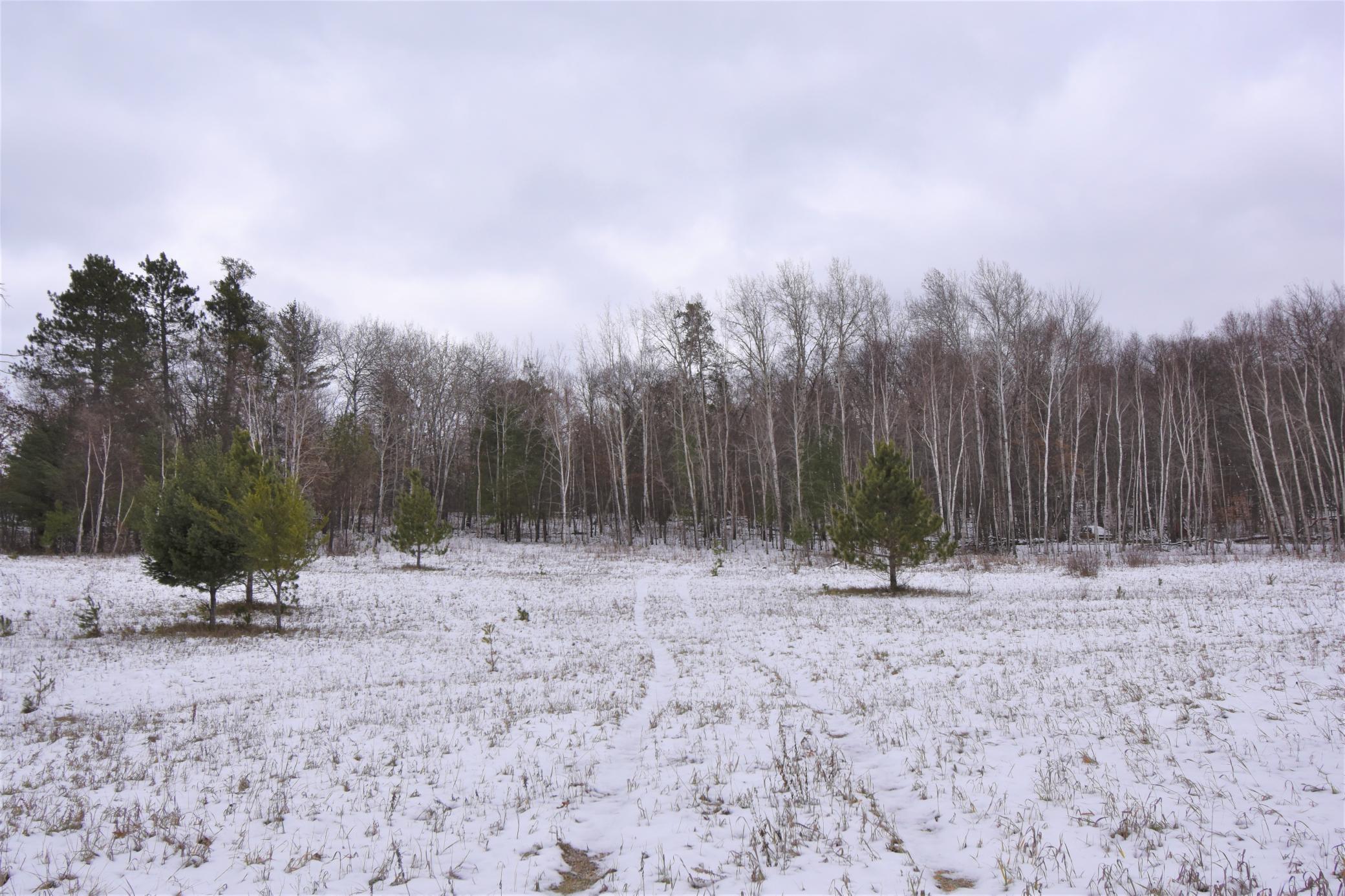 Tbd Buschmann Road Breezy Point, MN 56472 - Photo 3 of 7 Gallery Image 3