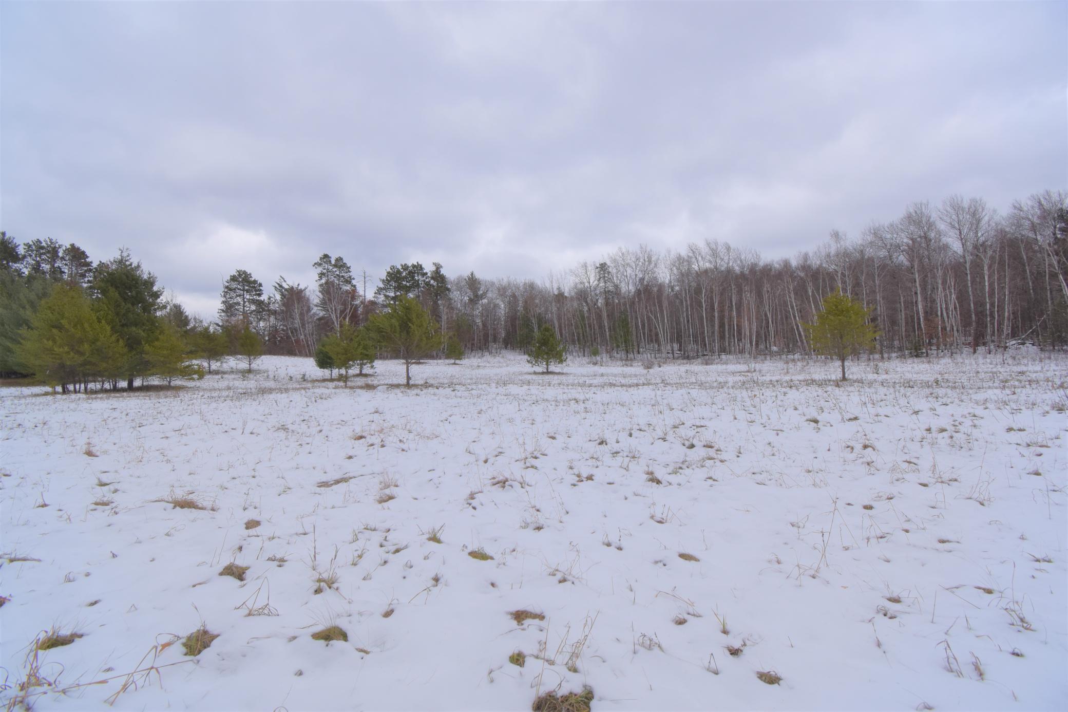 Tbd Buschmann Road Breezy Point, MN 56472 - Photo 4 of 7 Gallery Image 4