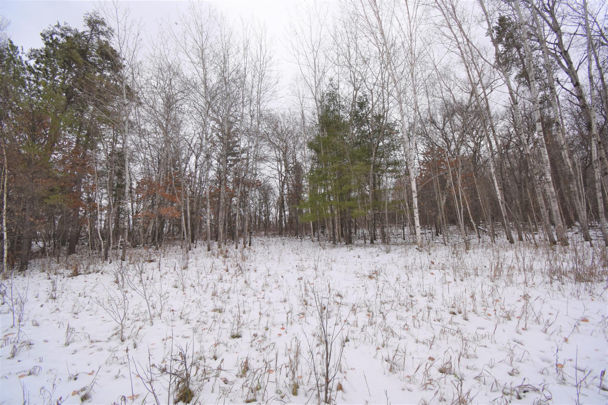 Tbd Buschmann Road Breezy Point, MN 56472 - Photo 5 of 7 Gallery Image 5