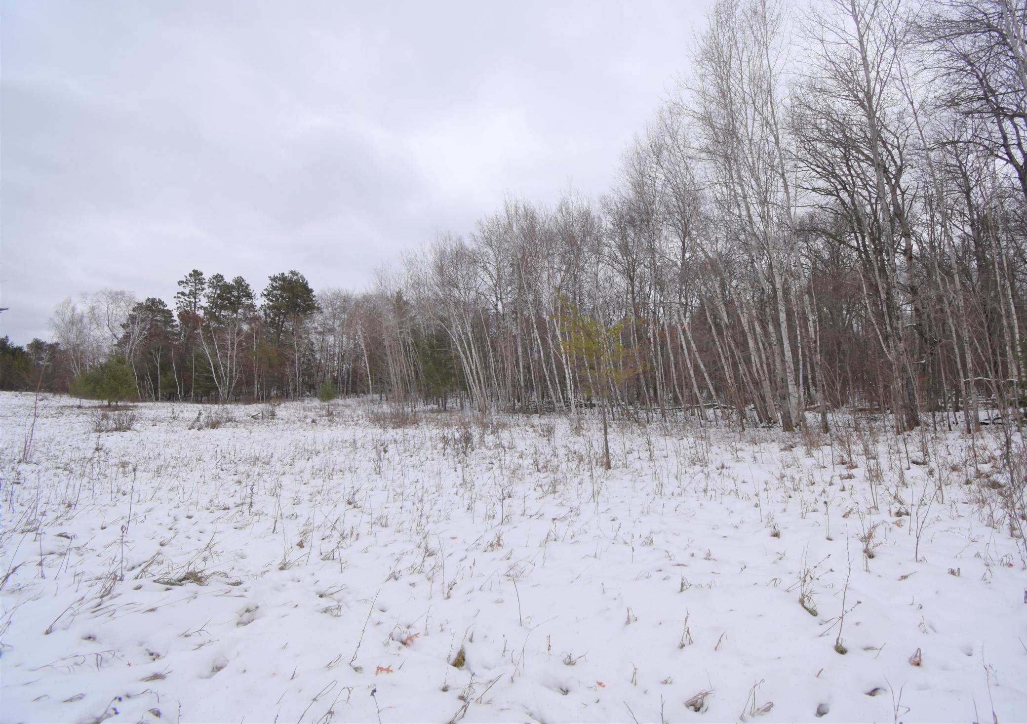Tbd Buschmann Road Breezy Point, MN 56472 - Photo 6 of 7 Gallery Image 6