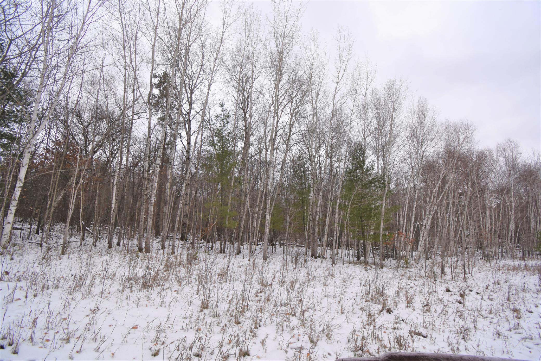 Tbd Buschmann Road Breezy Point, MN 56472 - Photo 7 of 7 Gallery Image 7