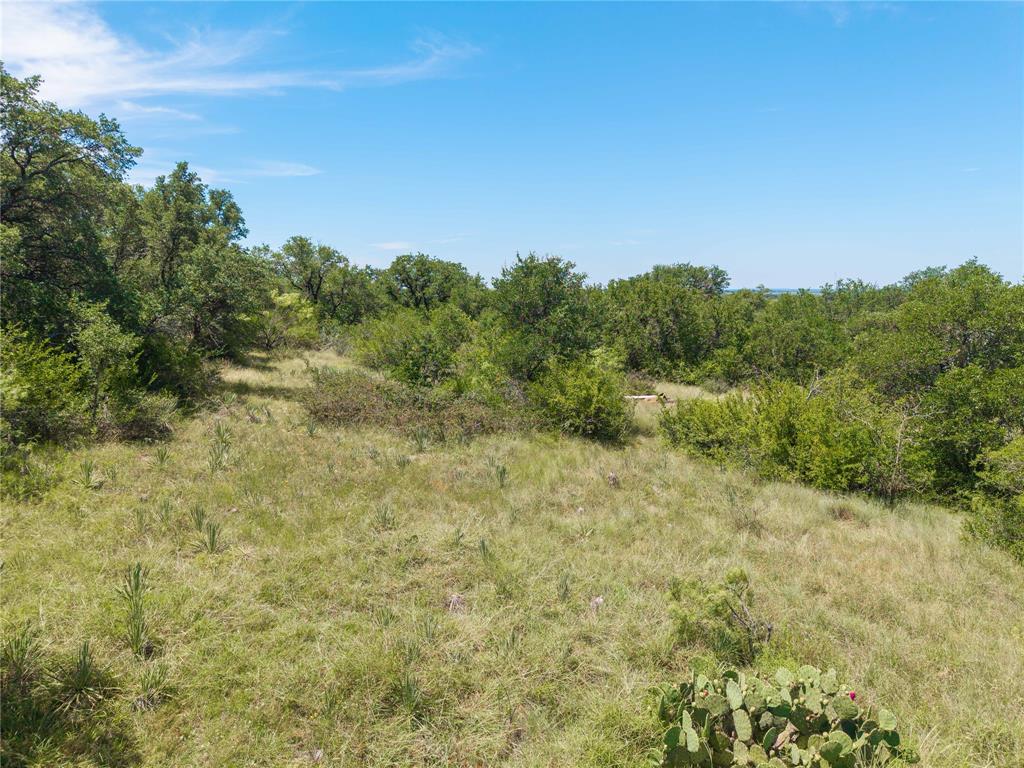 1689 Fm May, TX 76857 - Photo 14 of 28 a view of a field with trees in the background