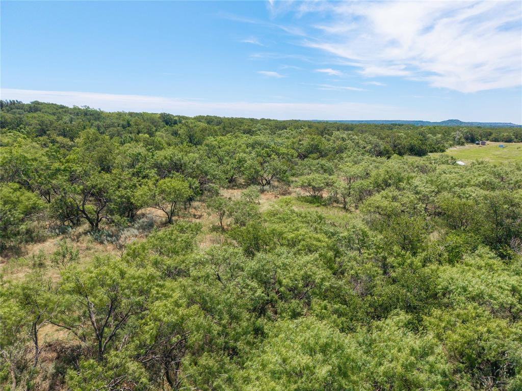 1689 Fm May, TX 76857 - Photo 16 of 28 an aerial view of residential houses with outdoor space and trees