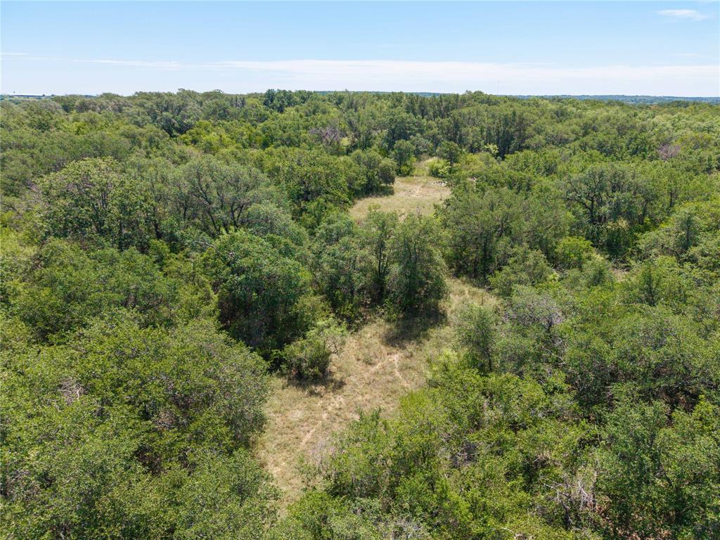 1689 Fm May, TX 76857 - Photo 28 of 28 a view of a forest with a street
