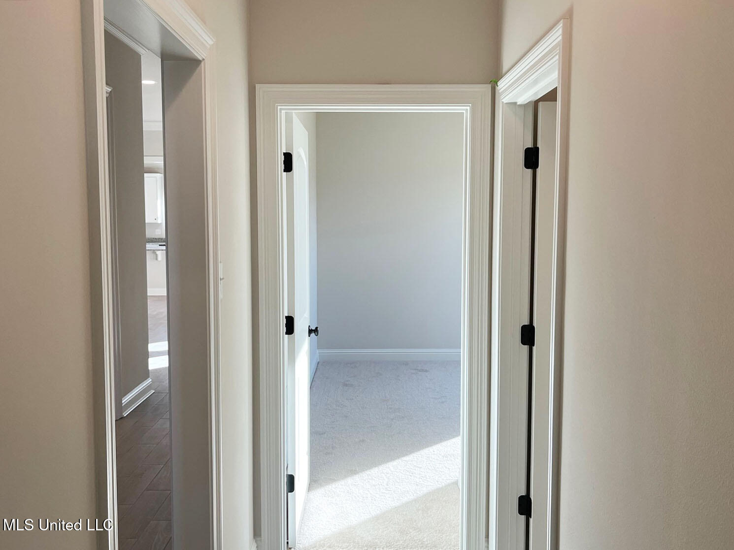 12181 Walker Road Ocean Springs, MS 39564 - Photo 13 of 22 Picture18 copy