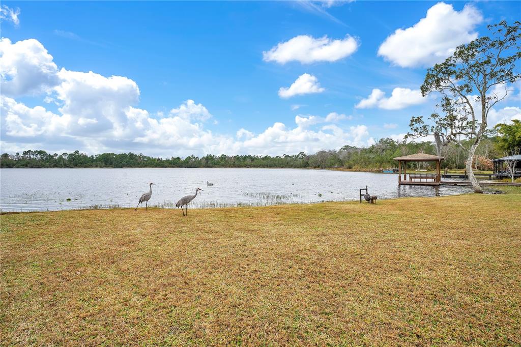 11450 Fangorn Road Orlando, FL 32825 - Photo 53 of 58 a view of an ocean beach