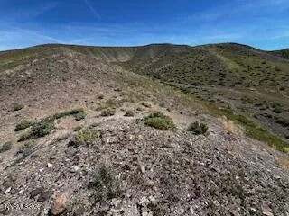 a view of a dry yard with mountains in the background