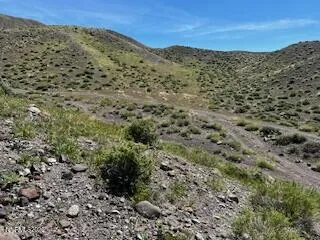 a view of a dry yard with mountains in the background