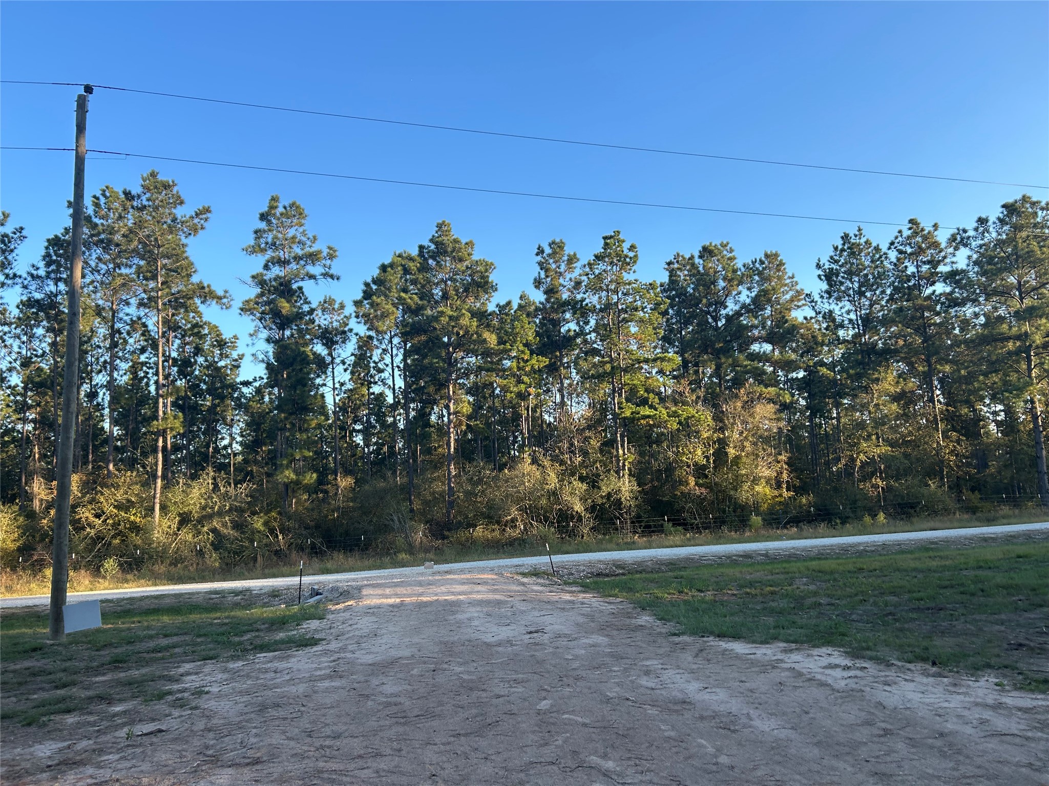 700 Pr 8160 Lovelady Tx 75851 Lovelady, TX 75851 - Photo 16 of 35 a view of a yard