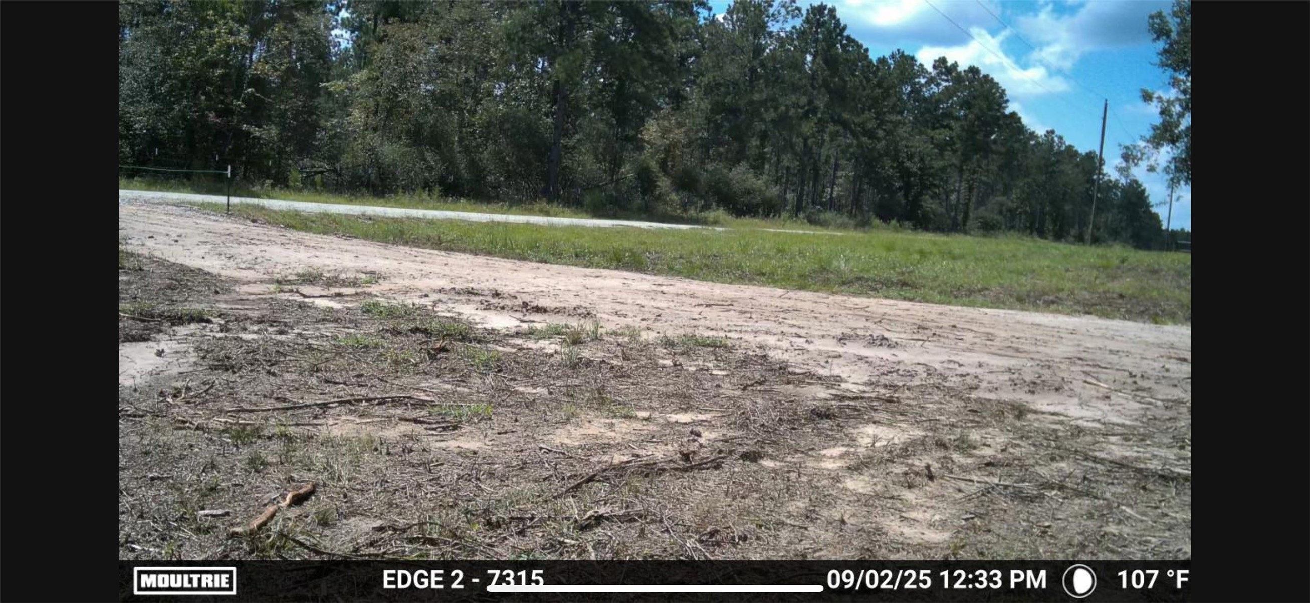 700 Pr 8160 Lovelady Tx 75851 Lovelady, TX 75851 - Photo 18 of 35 a view of backyard with green space