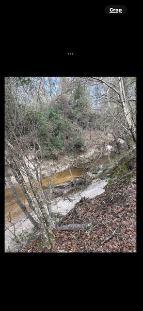 700 Pr 8160 Lovelady Tx 75851 Lovelady, TX 75851 - Photo 19 of 35 a view of a dry yard