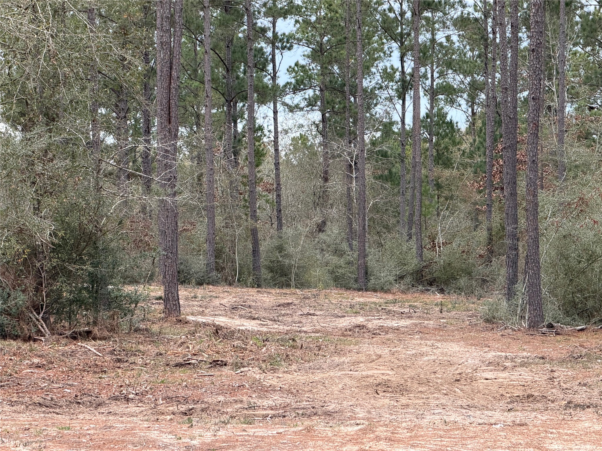 700 Pr 8160 Lovelady Tx 75851 Lovelady, TX 75851 - Photo 2 of 35 a view of outdoor space with trees