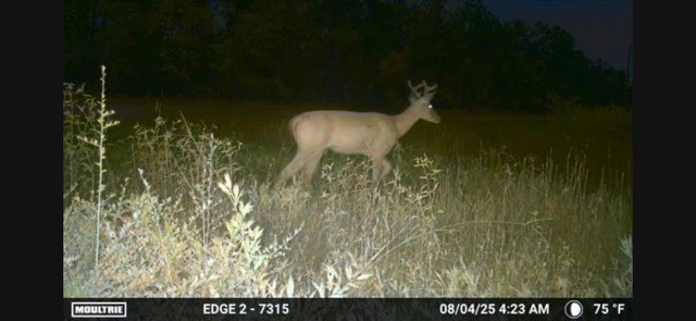 700 Pr 8160 Lovelady Tx 75851 Lovelady, TX 75851 - Photo 22 of 35