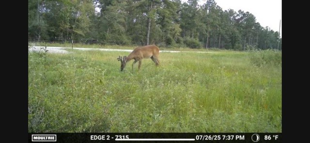 700 Pr 8160 Lovelady Tx 75851 Lovelady, TX 75851 - Photo 23 of 35 a view of a yard