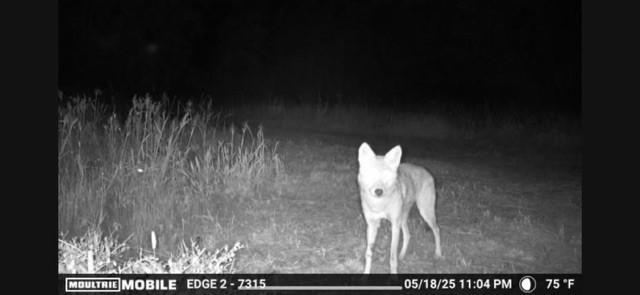 700 Pr 8160 Lovelady Tx 75851 Lovelady, TX 75851 - Photo 24 of 35
