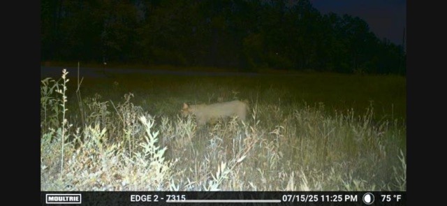 700 Pr 8160 Lovelady Tx 75851 Lovelady, TX 75851 - Photo 25 of 35