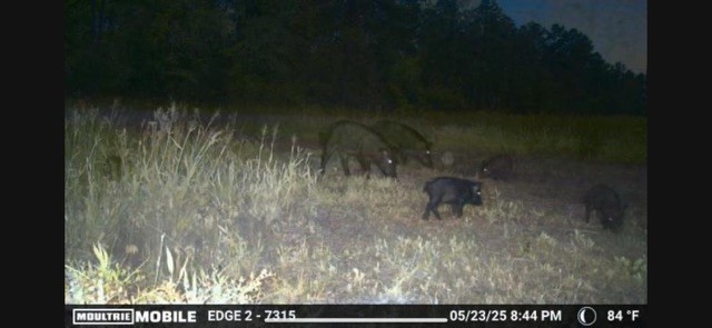 700 Pr 8160 Lovelady Tx 75851 Lovelady, TX 75851 - Photo 27 of 35 a picture of a yard