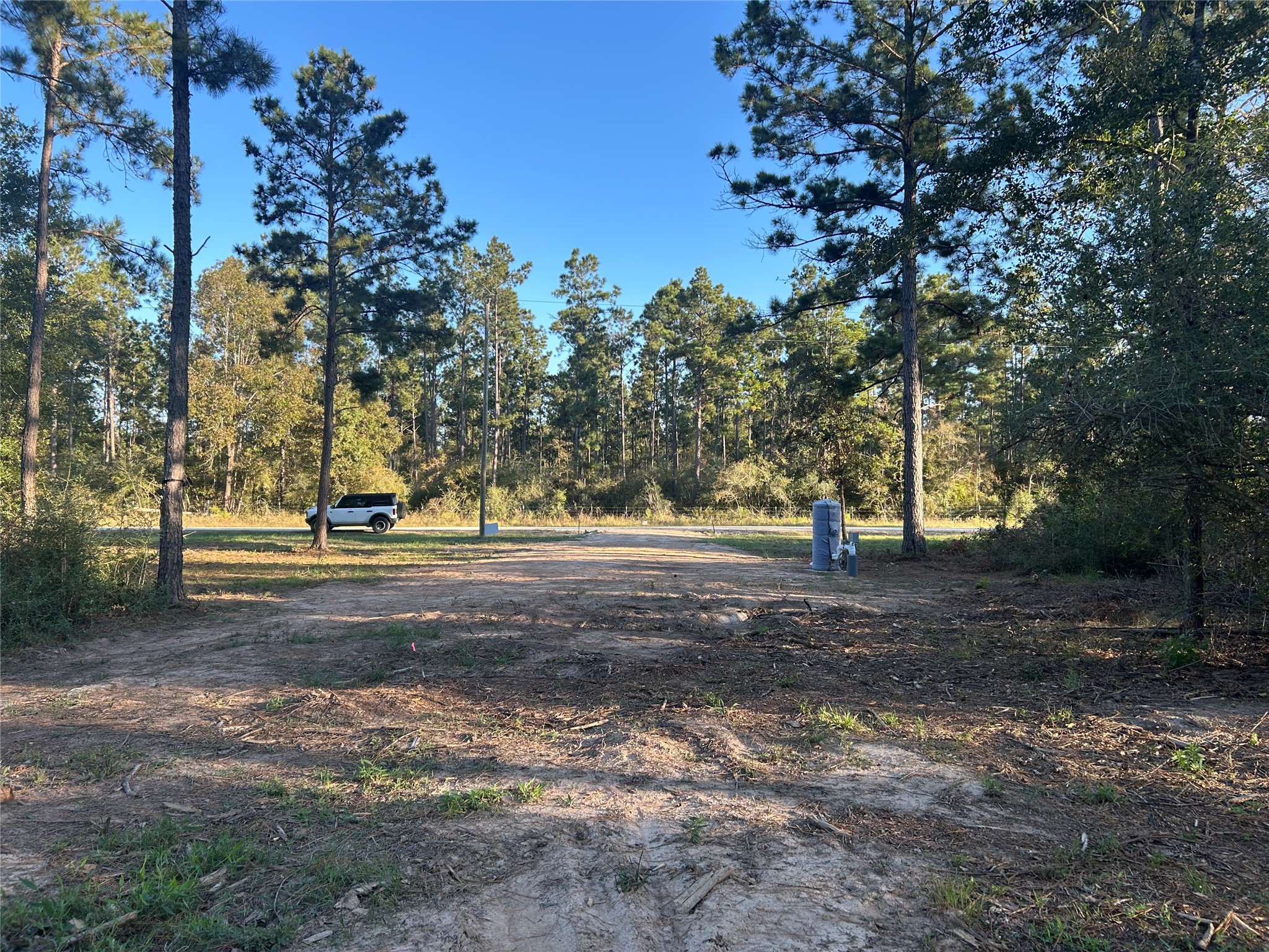 700 Pr 8160 Lovelady Tx 75851 Lovelady, TX 75851 - Photo 3 of 35 a view of dirt yard