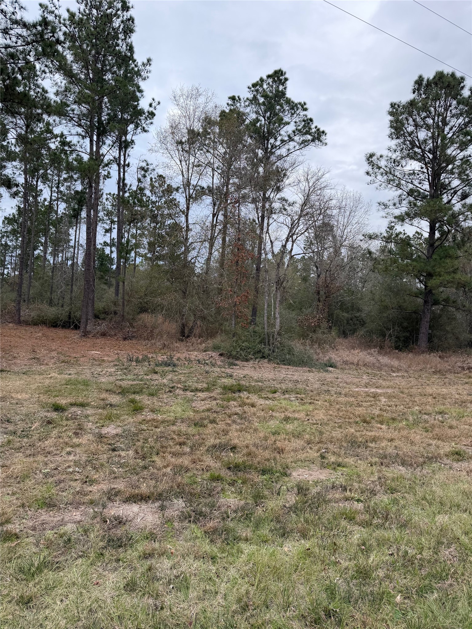 700 Pr 8160 Lovelady Tx 75851 Lovelady, TX 75851 - Photo 31 of 35 a view of a yard with trees