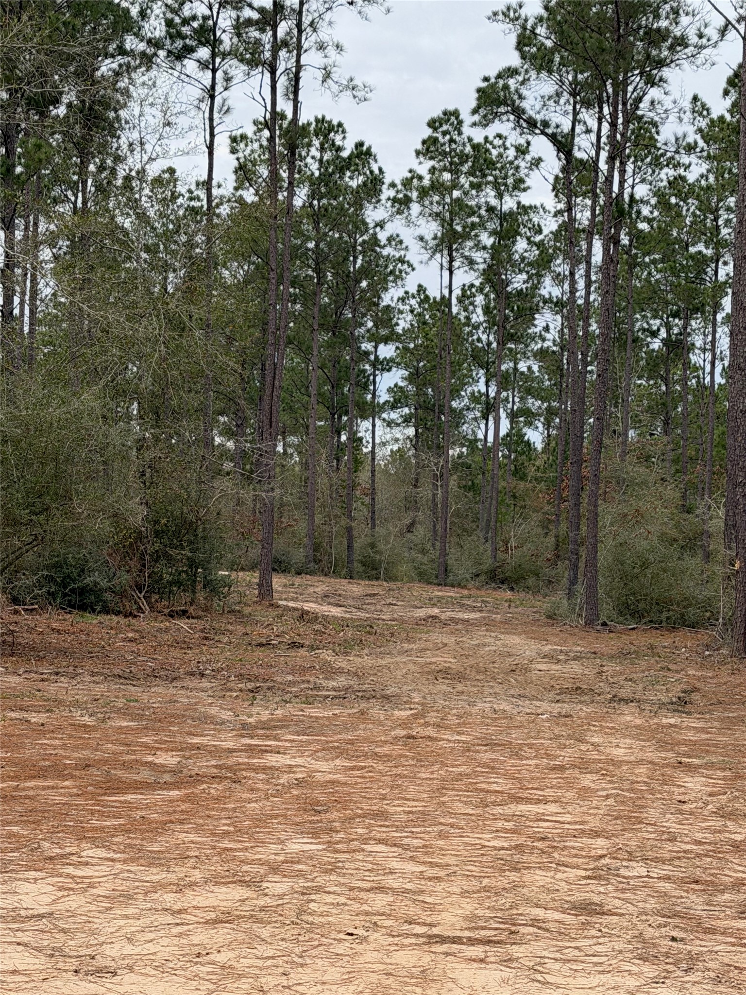 700 Pr 8160 Lovelady Tx 75851 Lovelady, TX 75851 - Photo 32 of 35 a view of a backyard of a house